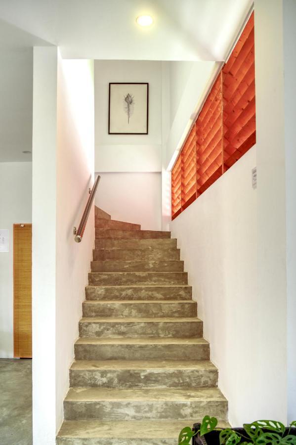 Island Ambience Hotel Maafushi Ngoại thất bức ảnh